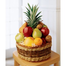 Recovery - Fruit Basket