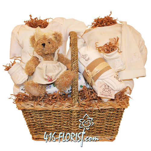 Luxury Baby Gift Basket